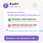 Kudri — перевір свої засоби безкоштовно